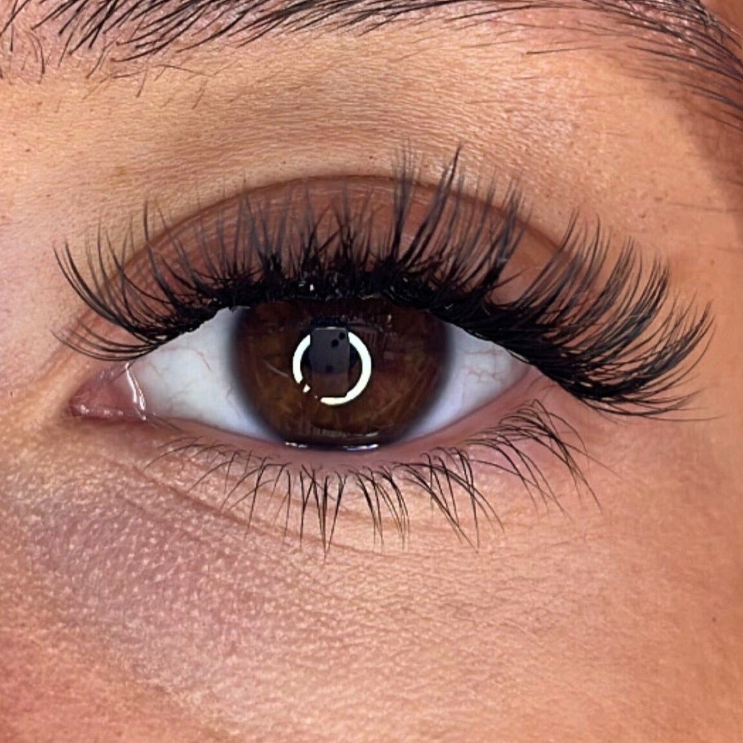 Lash Ribbons® Exclusive Lash Christmas Trees