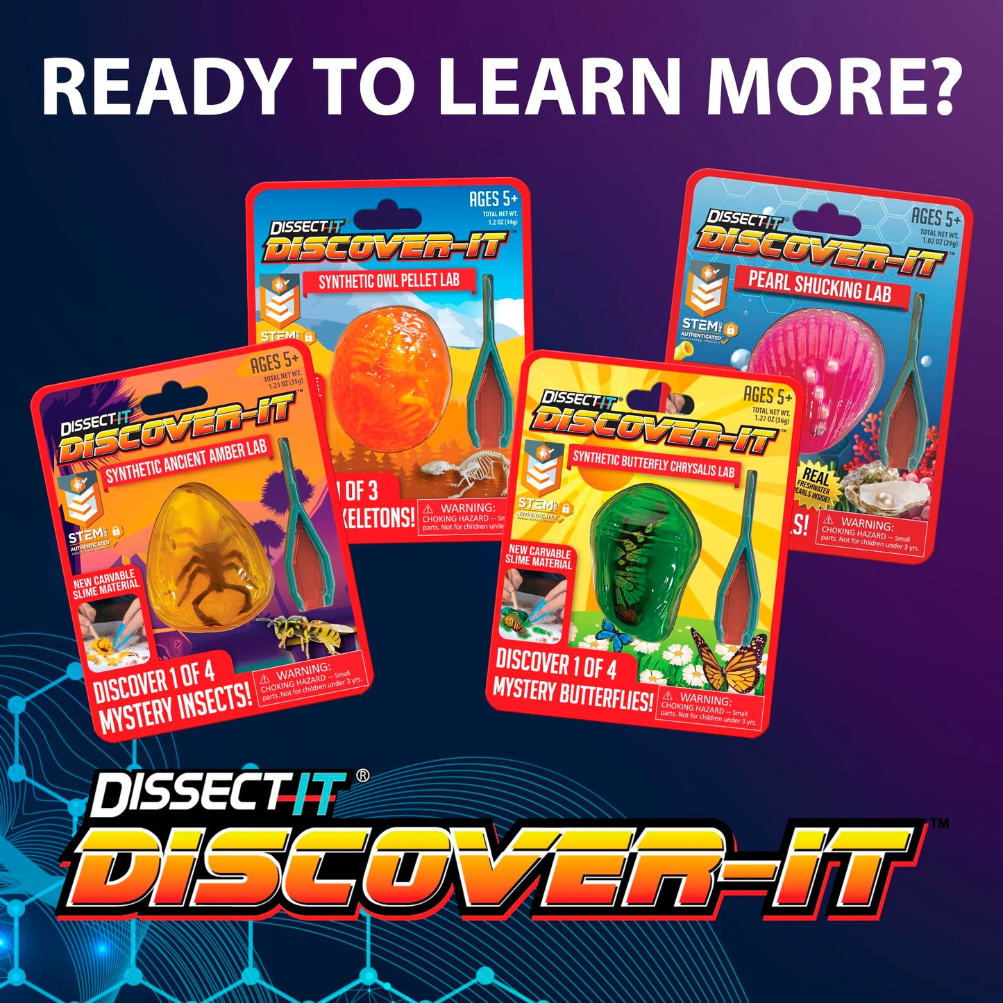 Dissect It Discover-It Amber Dissection Kit for Kids – Learn Insects