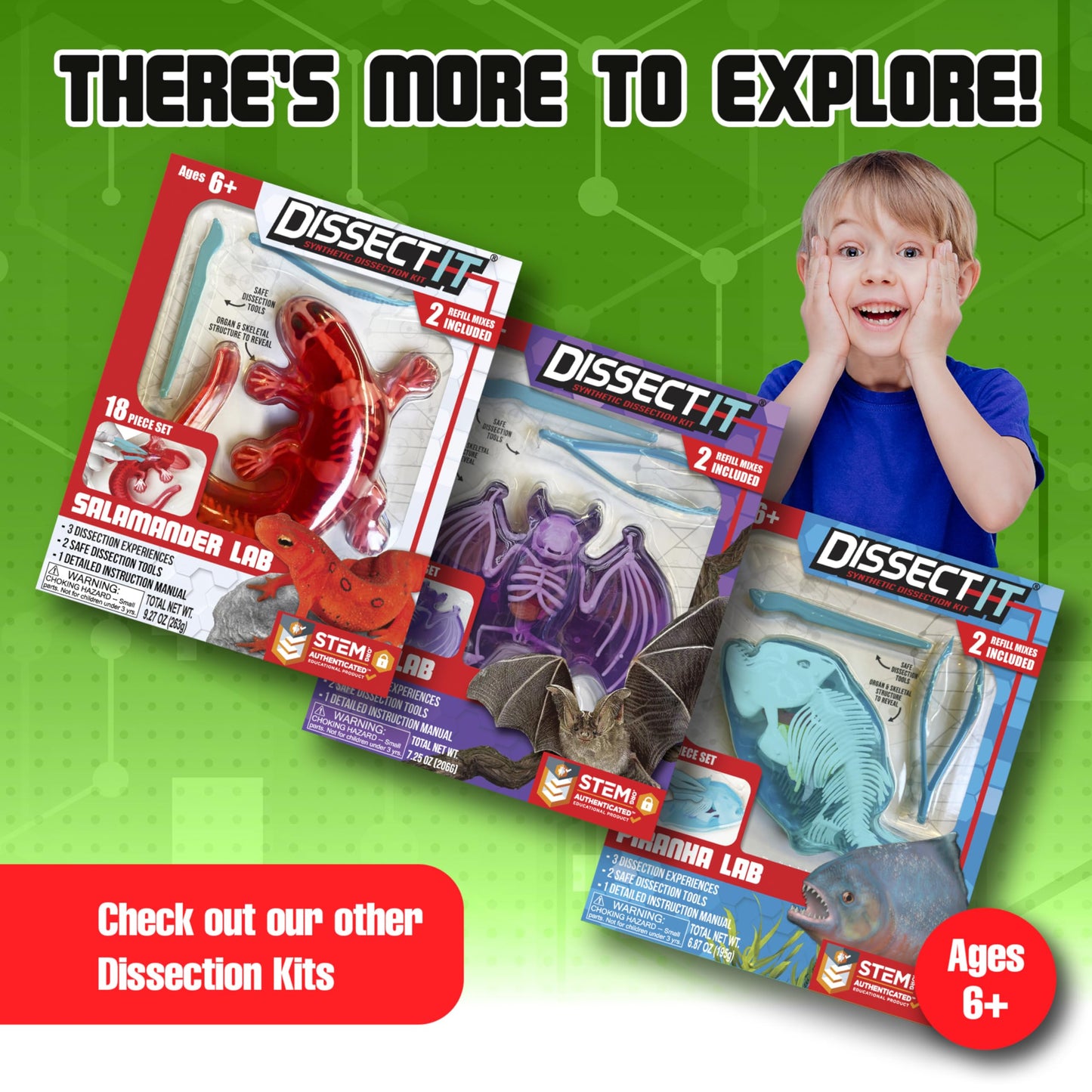 Dissect-It Kit for Kids: Simulated Frog Dissection Toy for STEM Biology & Anatomy