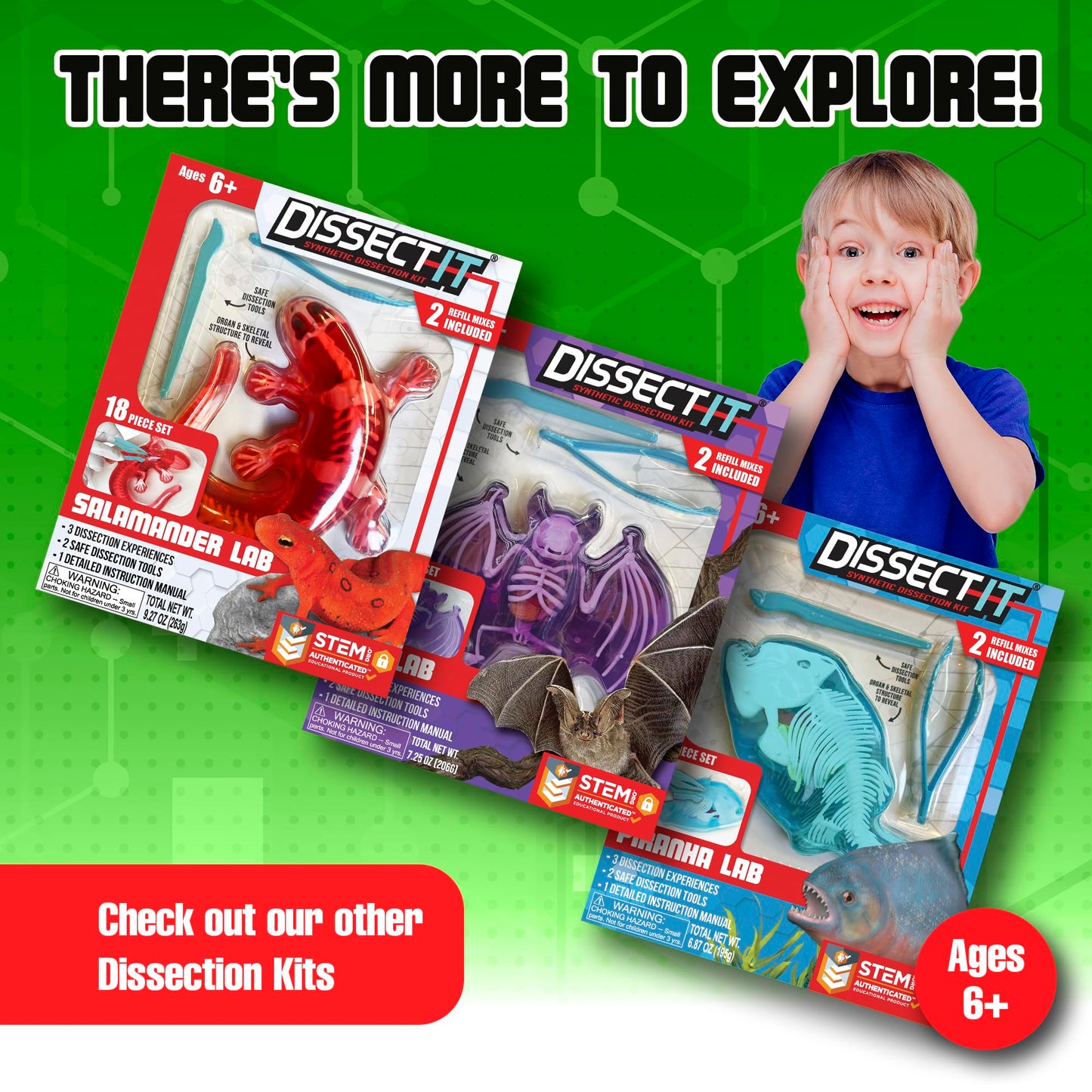 Dissect It Kit by Top Secret Toys — Safe Frog Dissection & STEM Learning for Kids 6+