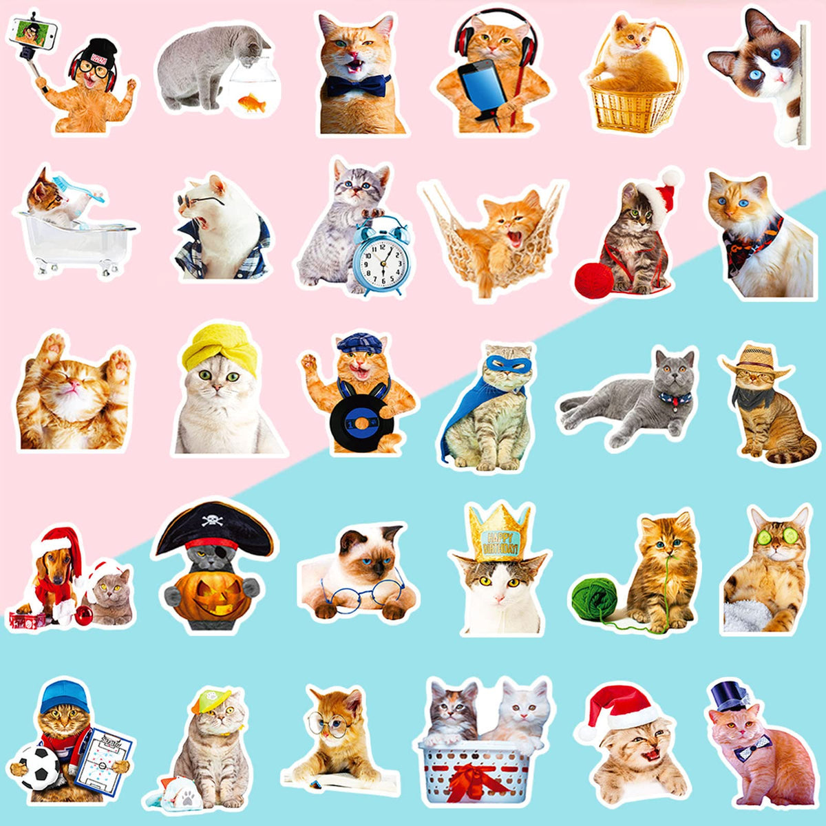 DothRayan Cat Stickers – 100 Pcs Vinyl Waterproof Sticker Pack for Laptops & More