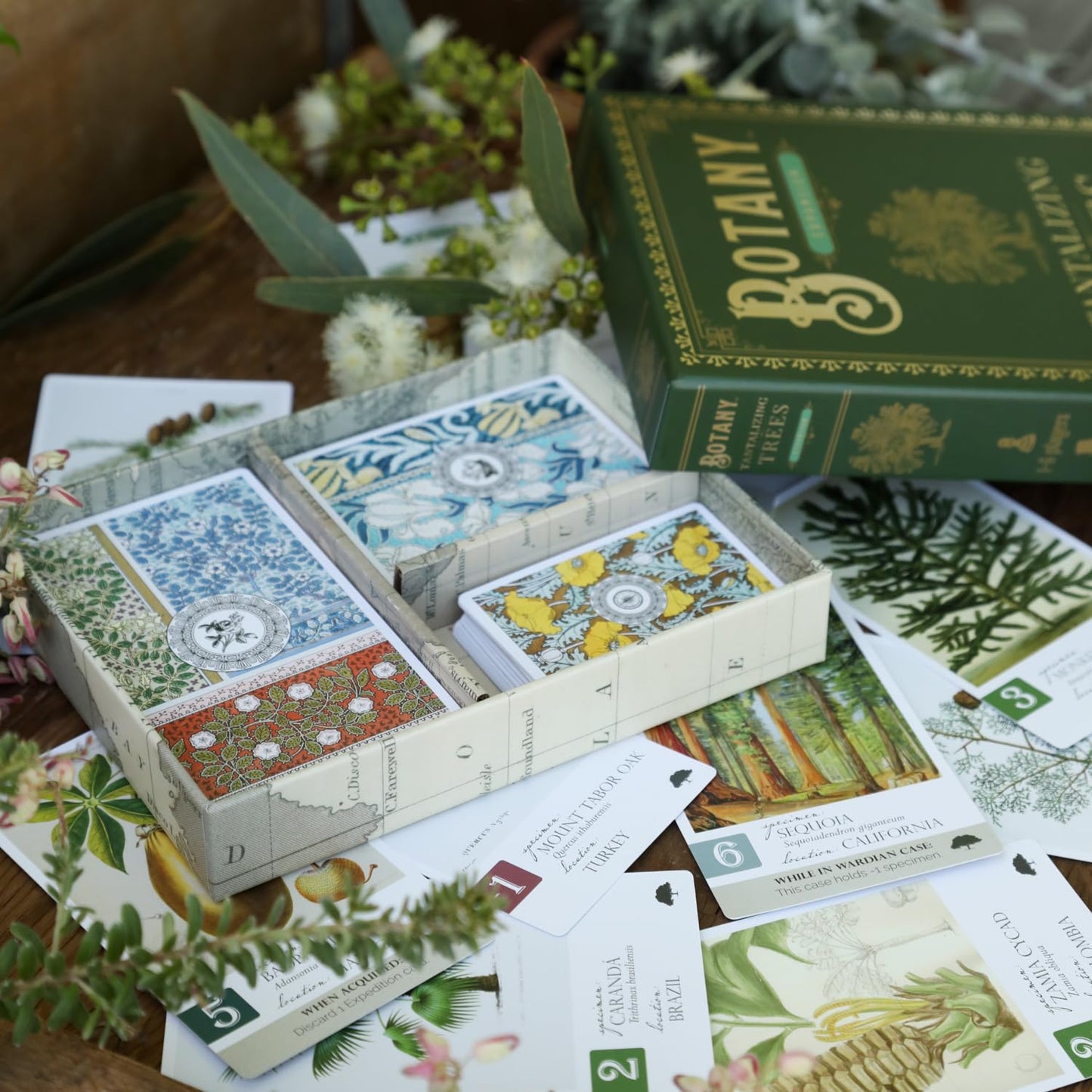 Dux Somnium Botany: Tantalizing Trees Expansion – Family Strategy Game Add-On