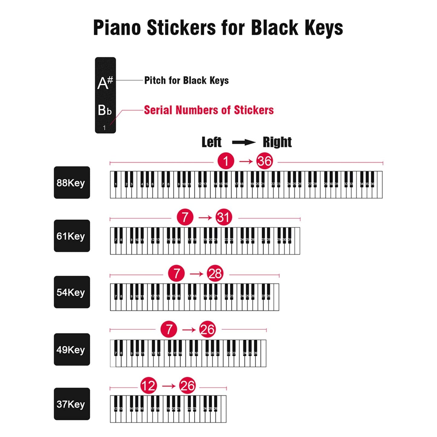 Eison Colorful Piano Keyboard Stickers for 88/61/54/49/37 Keys – Removable, No Residue, Easy Read