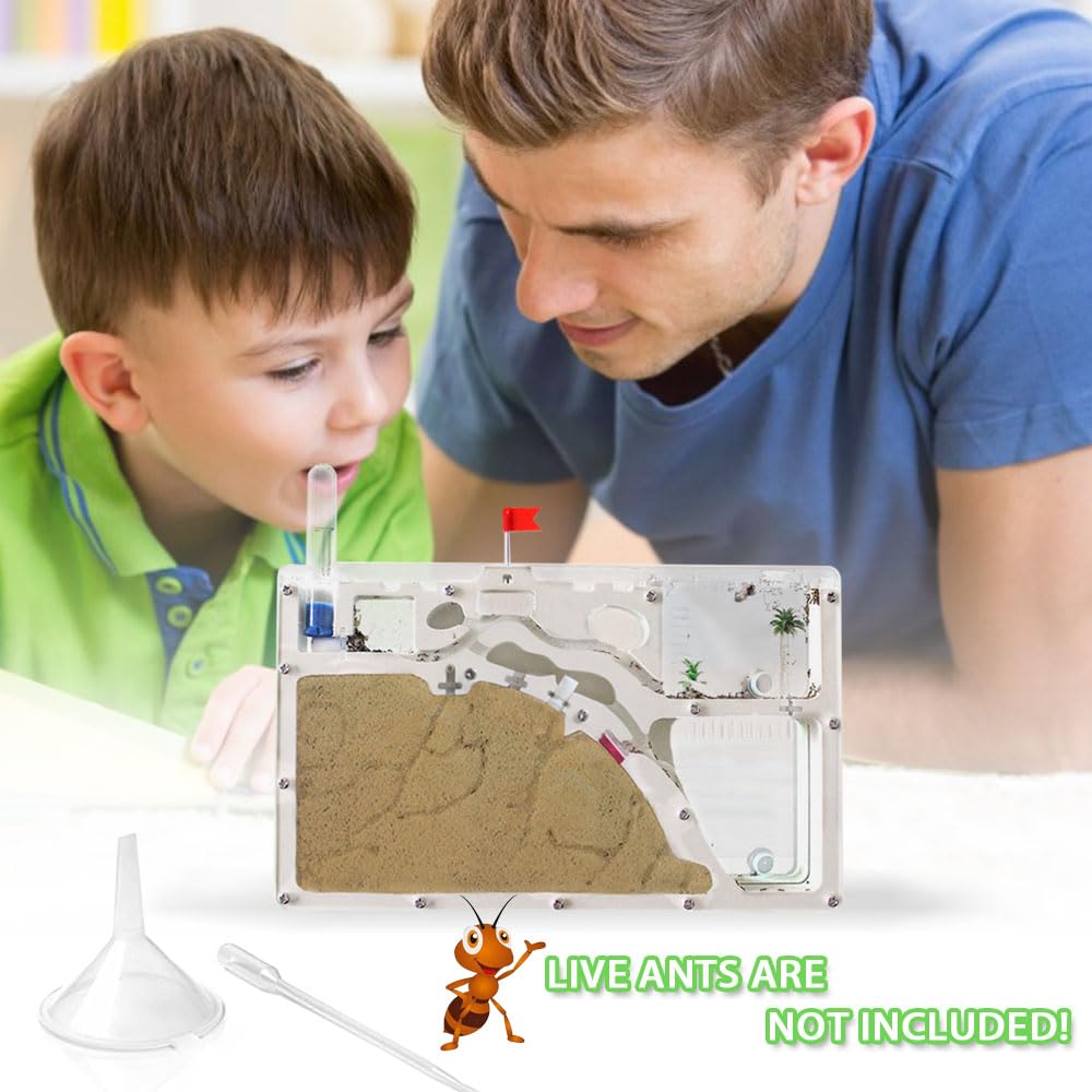 ELNMLHT Ant Farm Castle – Double-Sided Ant Habitat Kit with Yellow Sand & Tool Kit