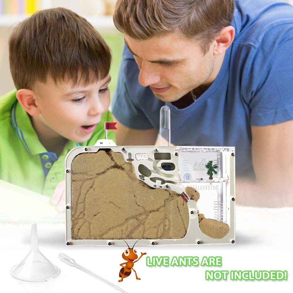 ELNMLHT Ant Farm Castle – Educational Live Ant Habitat Kit with Yellow Sand & Tool Kit