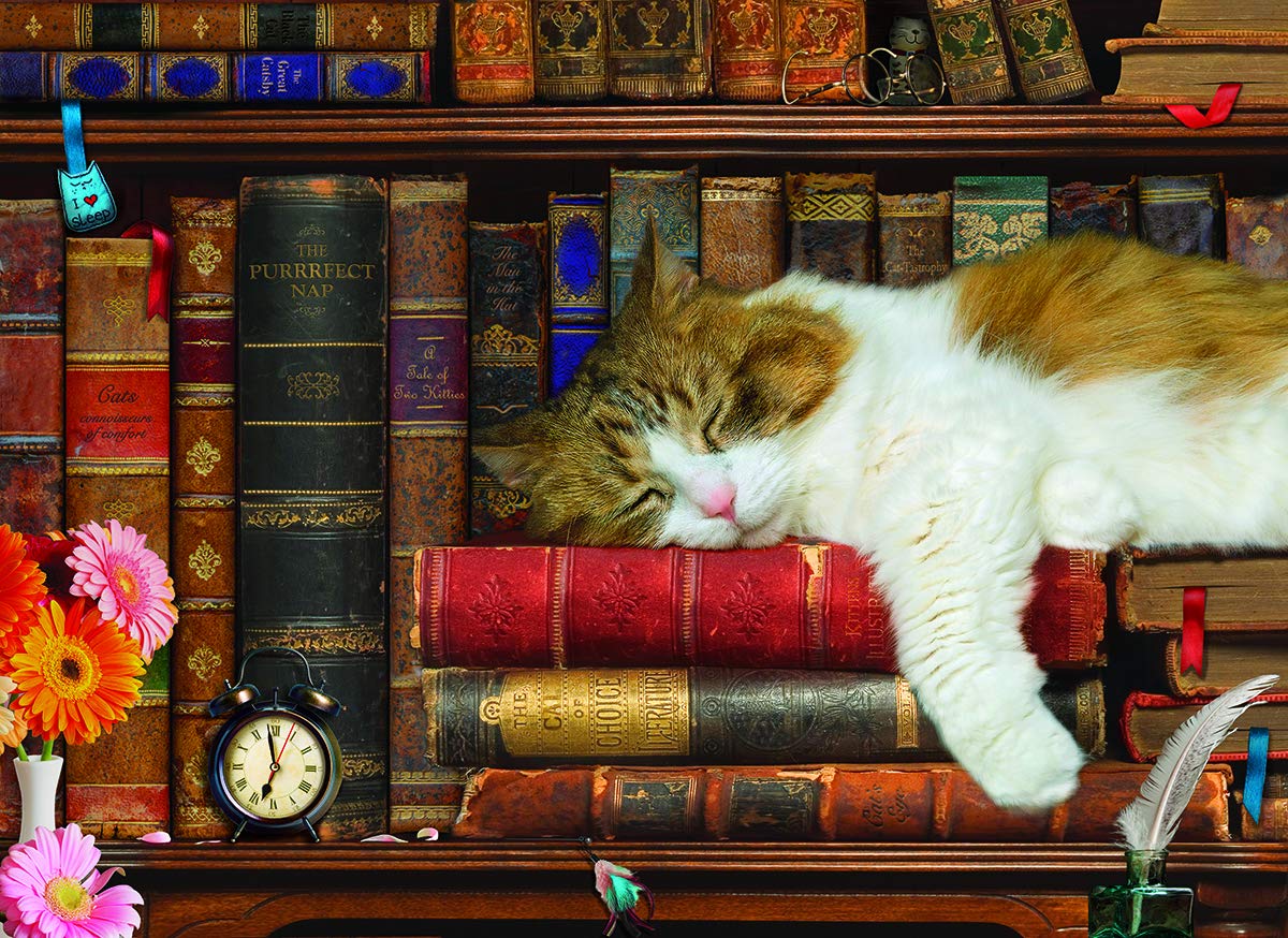 The Cat Nap 500-Piece Puzzle by EuroGraphics — Eco-Friendly, Made in USA