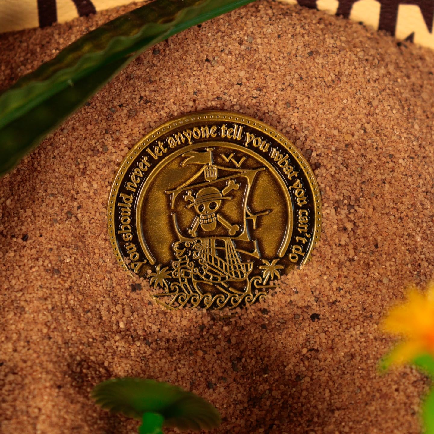 Fanattik One Piece Limited Edition Coin – Going Merry & Jolly Roger (Numbered)