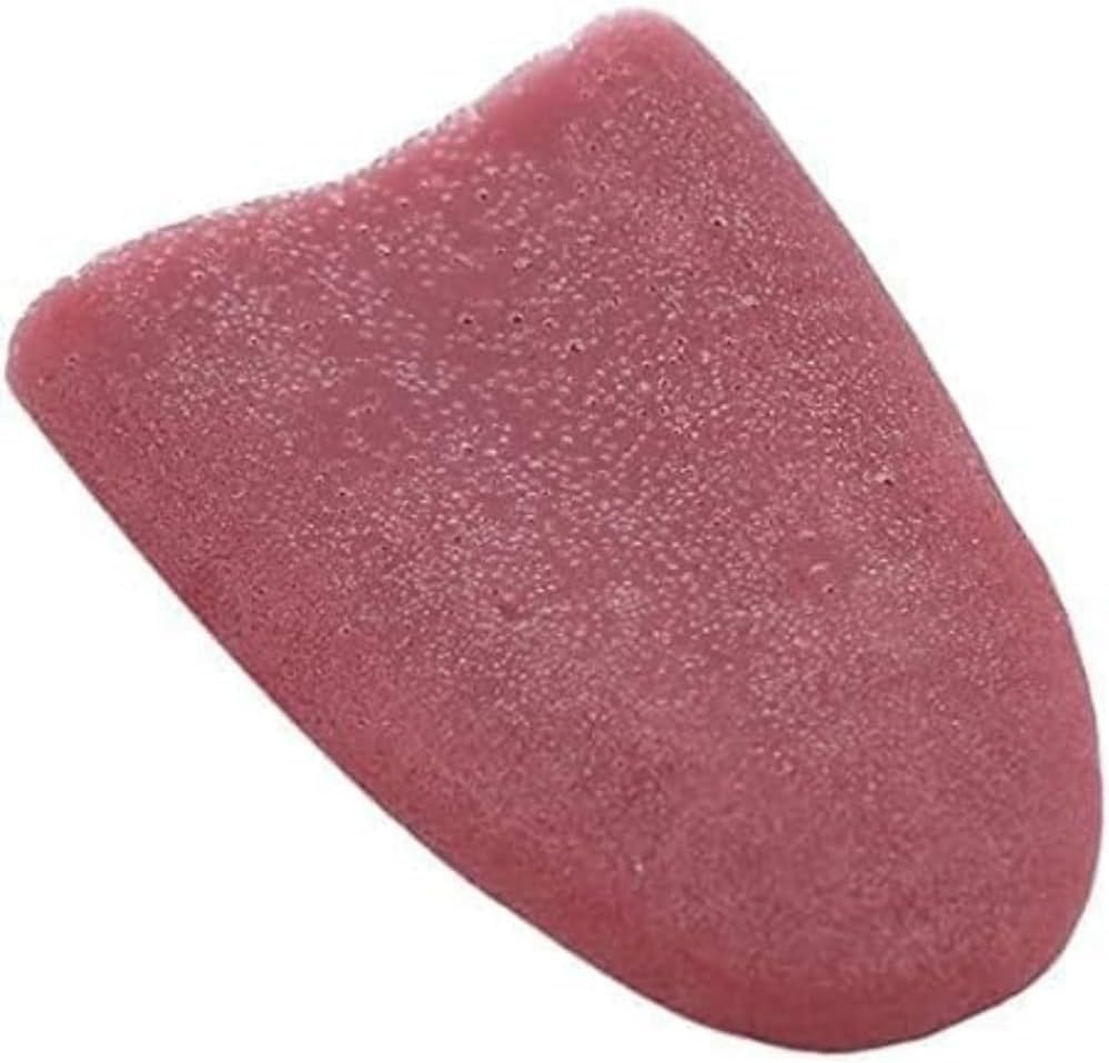 Fansoftiks 2 Pcs Realistic Fake Tongue - Prank Magic Tricks Props for Halloween & Parties