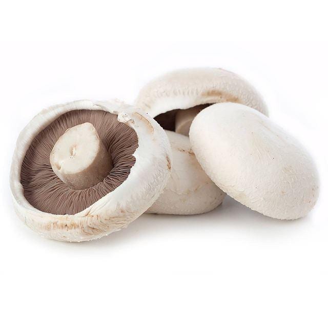 Flat Mushroom (twin pack)