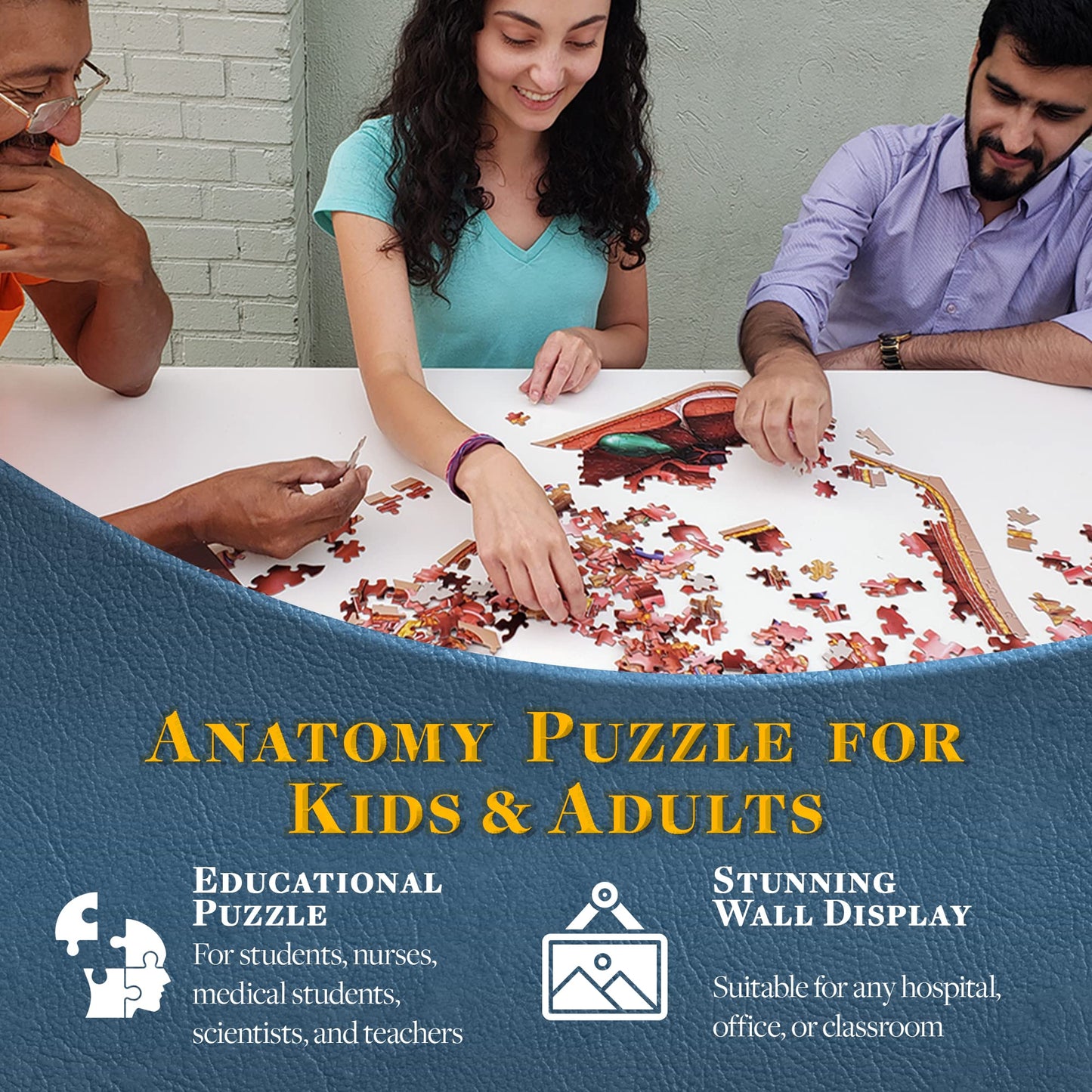 Dr. Livingston's Human Feet Anatomy Puzzle — Medically Accurate Jigsaw by Genius Games