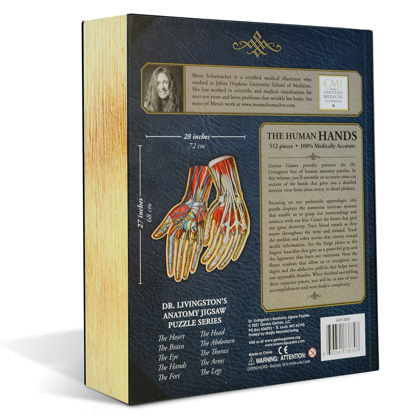 Genius Games Dr. Livingston's Hands Anatomy Puzzle – Educational Hand Model