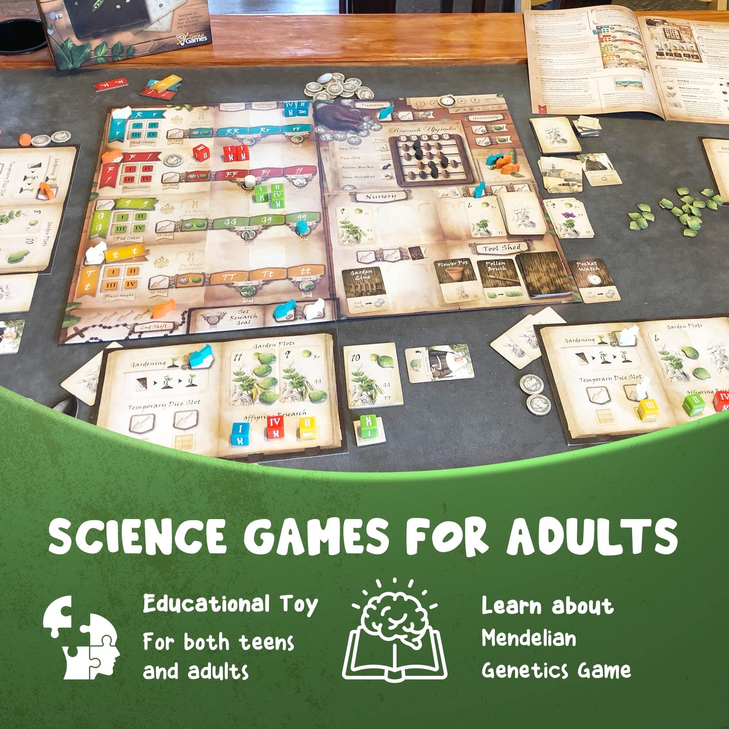 Genotype: Mensa Award-Winning Genetics Board Game by Genius Games