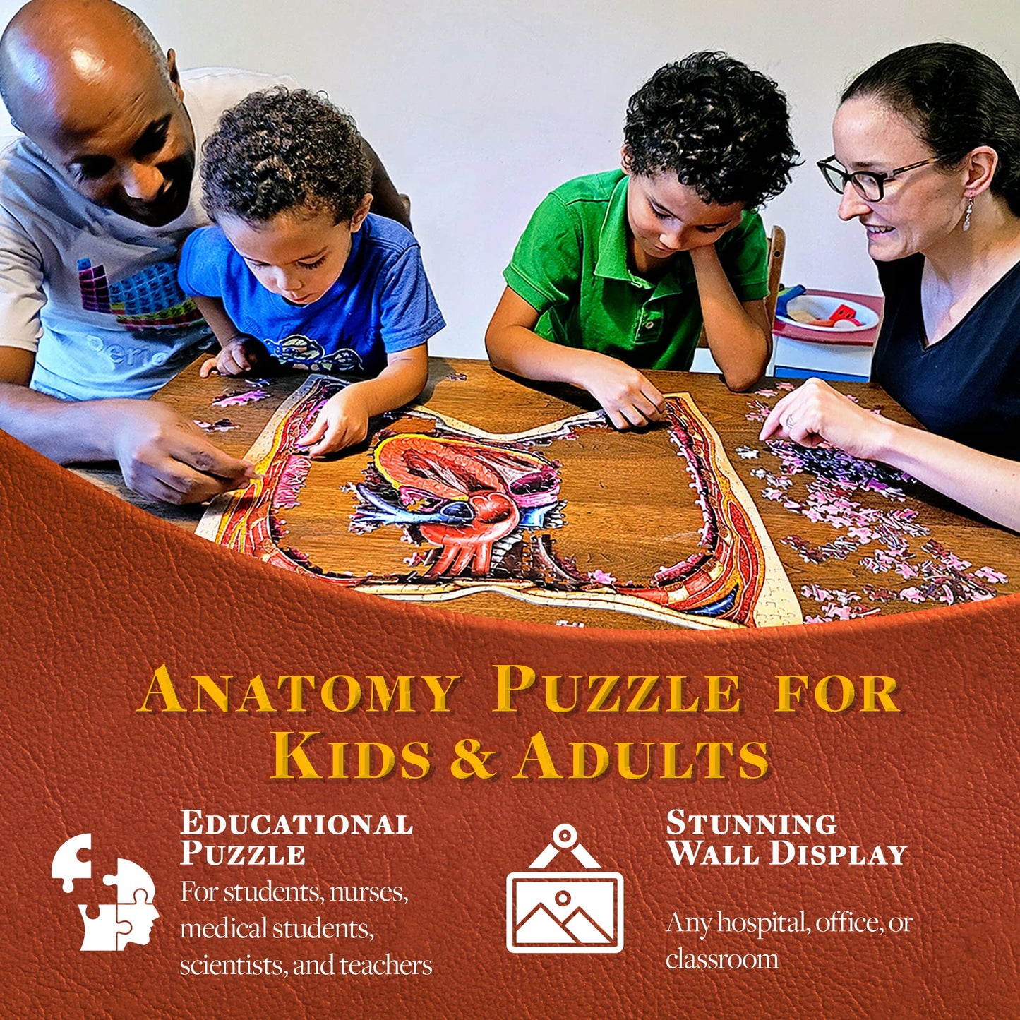 Genius Games Human Thorax Anatomy Puzzle – 411-Piece Floor Puzzle