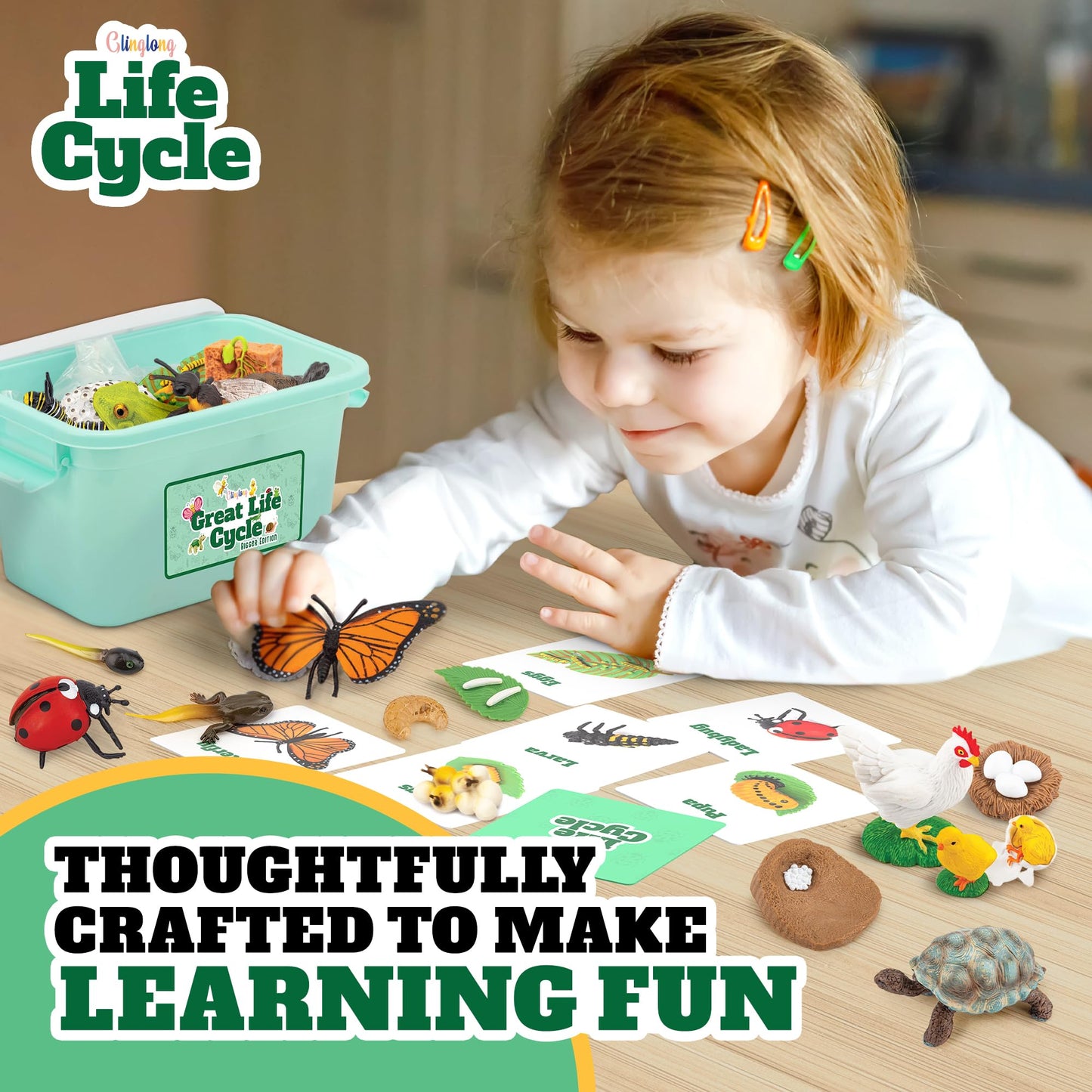 GLINGLONG Life Cycle Animal Kit – Montessori STEM 32-Piece Set for Ages 3–8