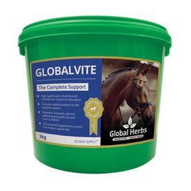 Global H Global Vite