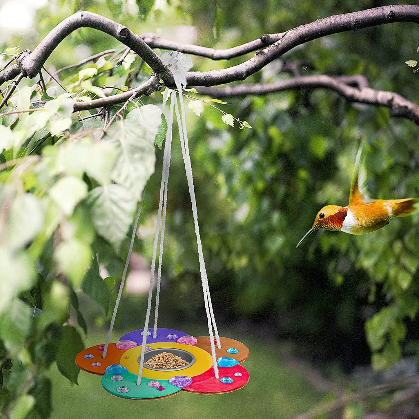 Gooidea Kids Arts & Crafts Bird Feeders – 2-Pack DIY Wooden Paint Kits for Outdoor Fun (Ages 3–12)