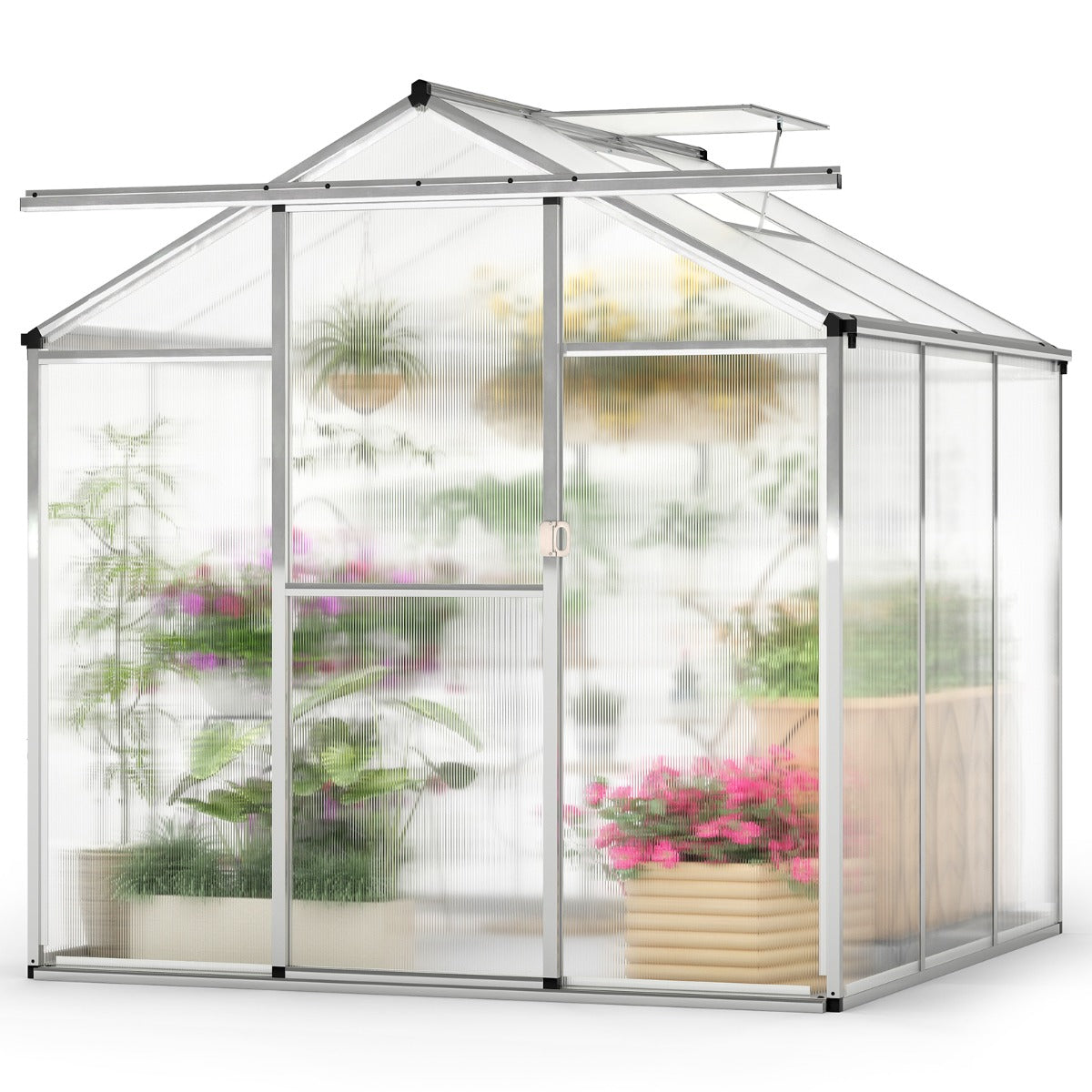 185 x 185 cm/244 x 185 cm Greenhouse Large Walk-in Green House-M