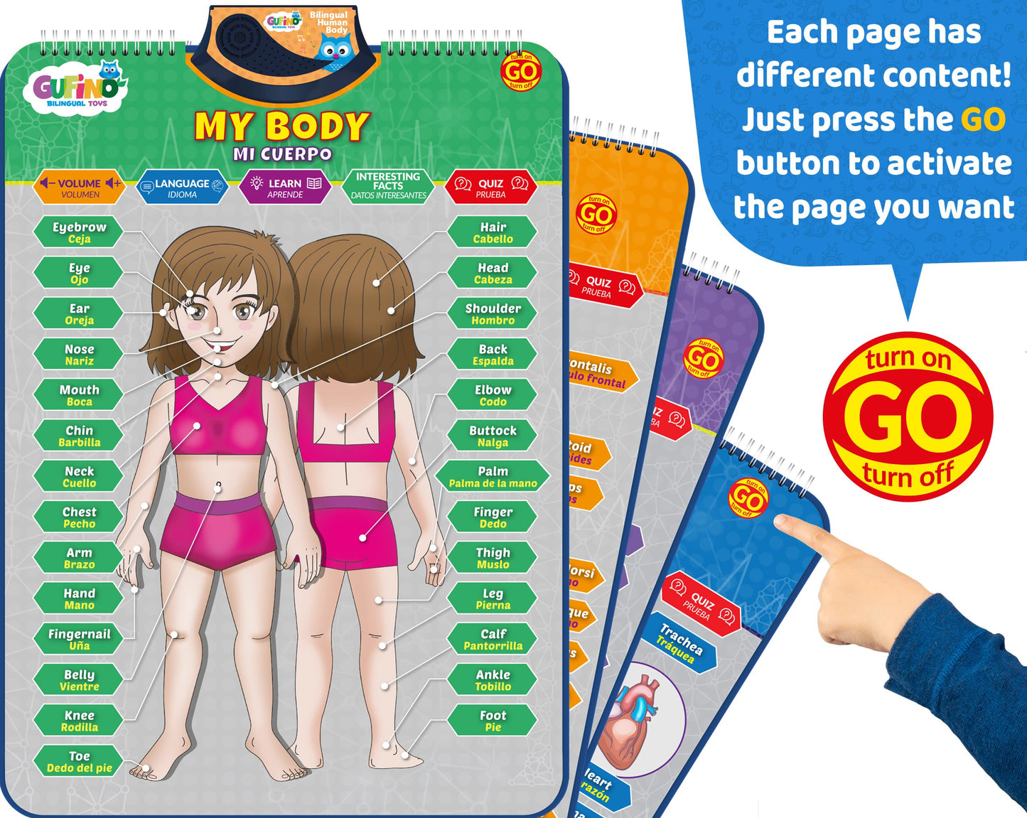 GUFINO Bilingual Human Body Model for Kids – Interactive Anatomy Poster with Games & Quizzes
