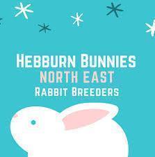 Hebburn Bunnies - Rabbit Balance