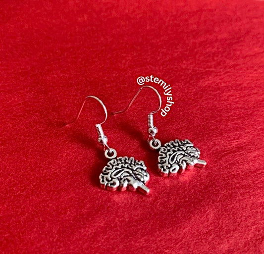 Cool quirky silver brain stem science drop dangle biology earrings on hypoallergenic surgical steel hooks