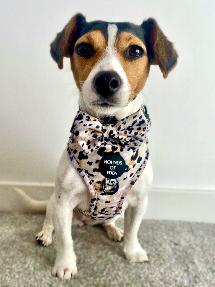 Sage Leopard Design Dog Bow Tie