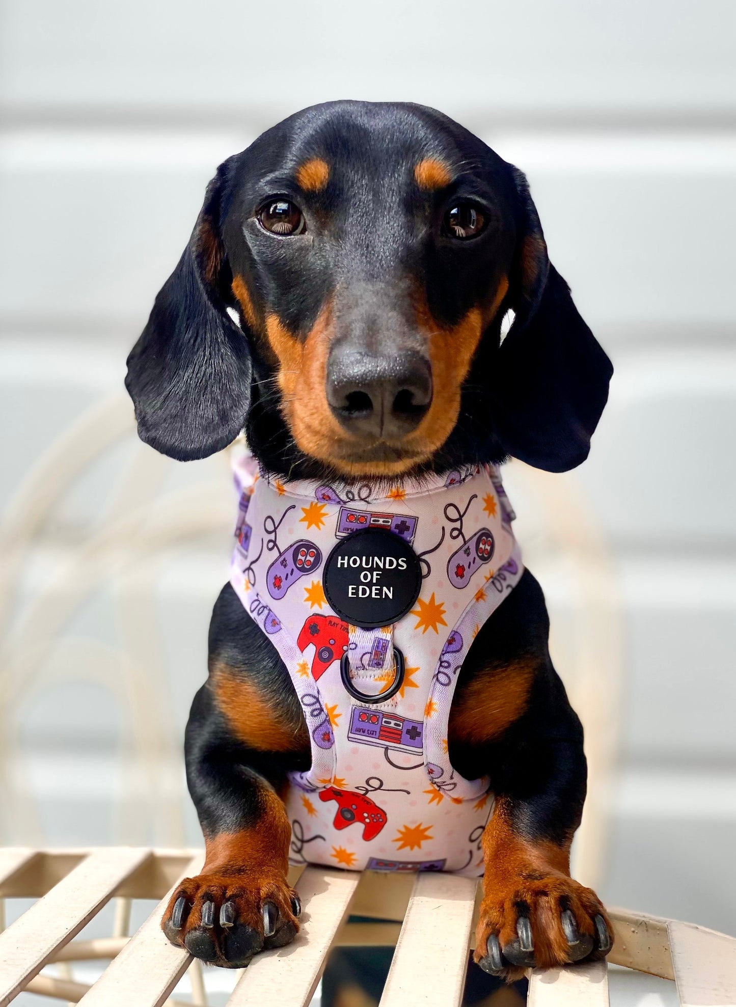 Nintendawg Design Poop Bag Holder