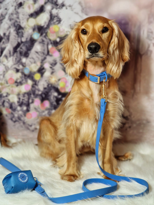Lichen Blue 'All Weather' Poop Bag Holder