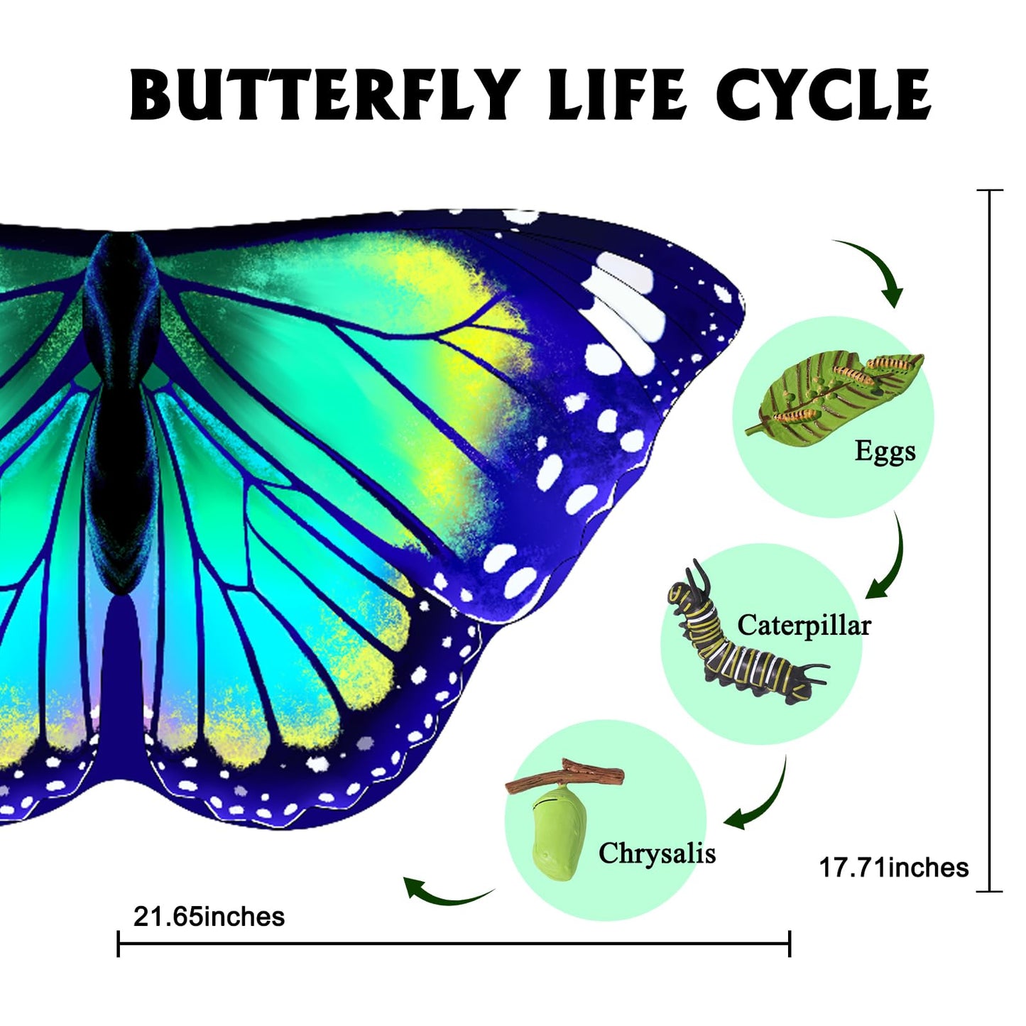 iROLEWIN Double-Sided Butterfly Wings for Toddlers – Fairy Dress-Up & Halloween Gift