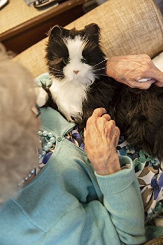 Joy For All Companion Cat — Lifelike Animatronic Tuxedo Cat for Seniors