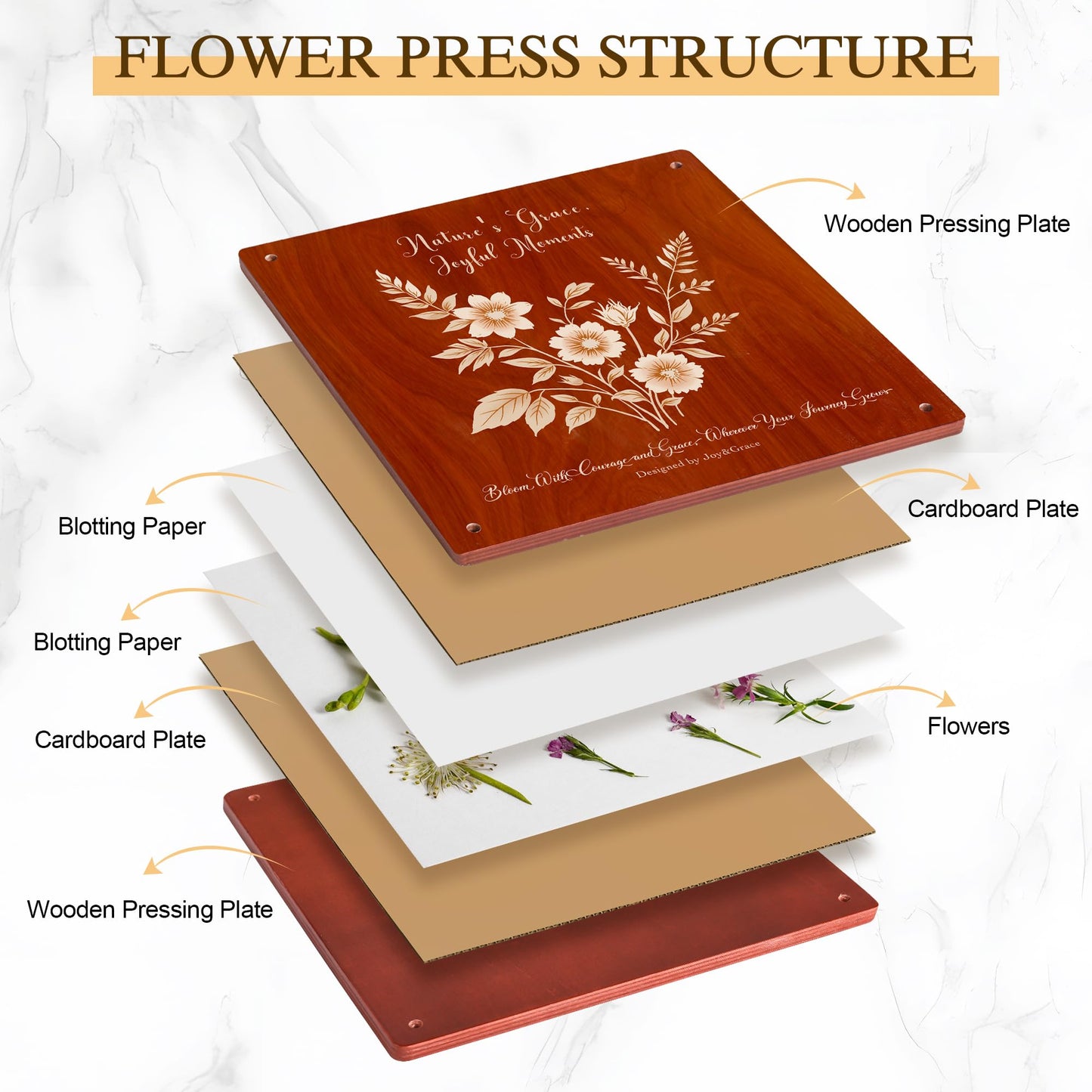 Joy&Grace Large Flower Press Kit – 10.9 x 10.9-Inch, 10-Layer Press with Album