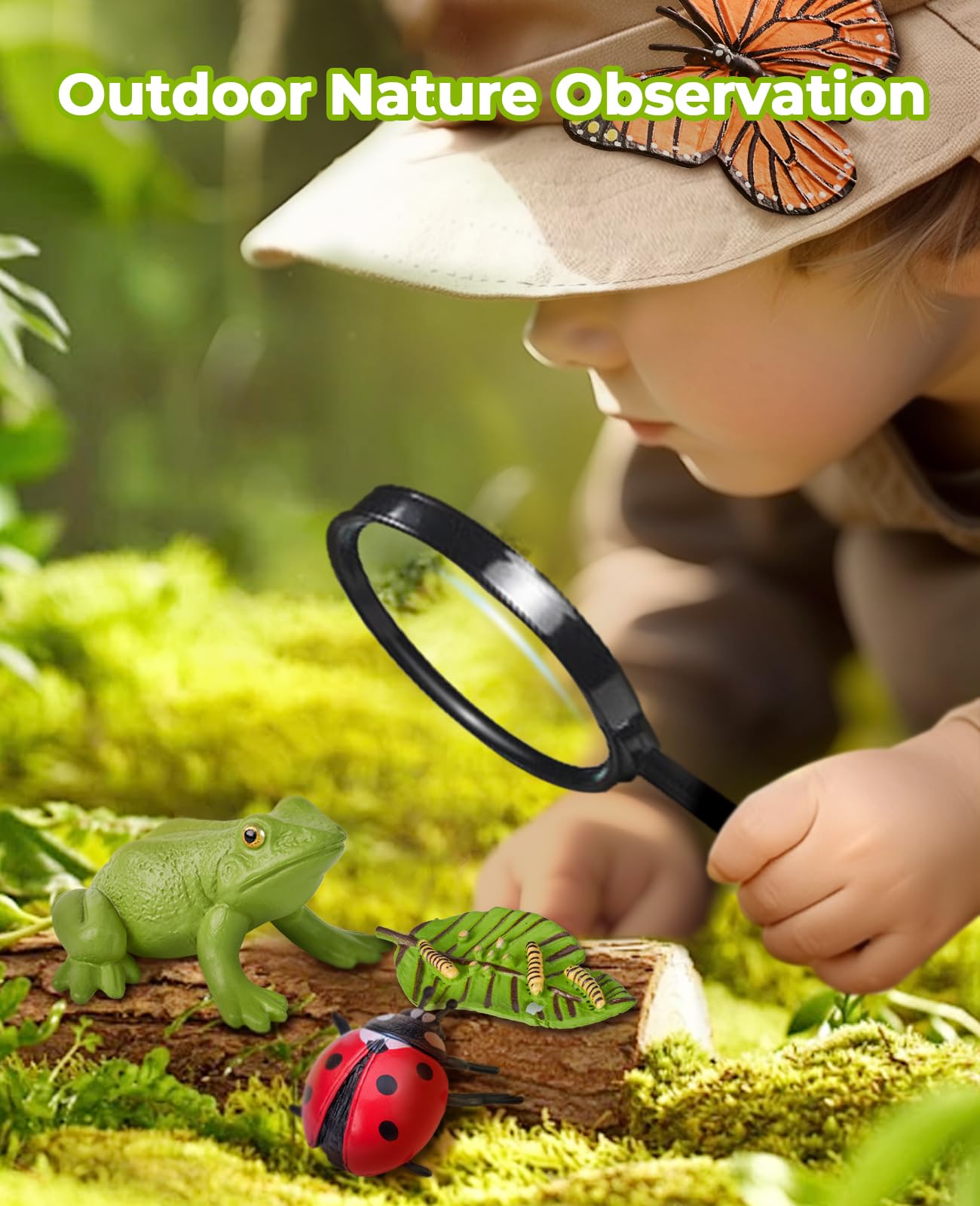 JoyCat Life Cycle Learning Toys – Insects & Amphibians Kit for Preschool Ages 3-8