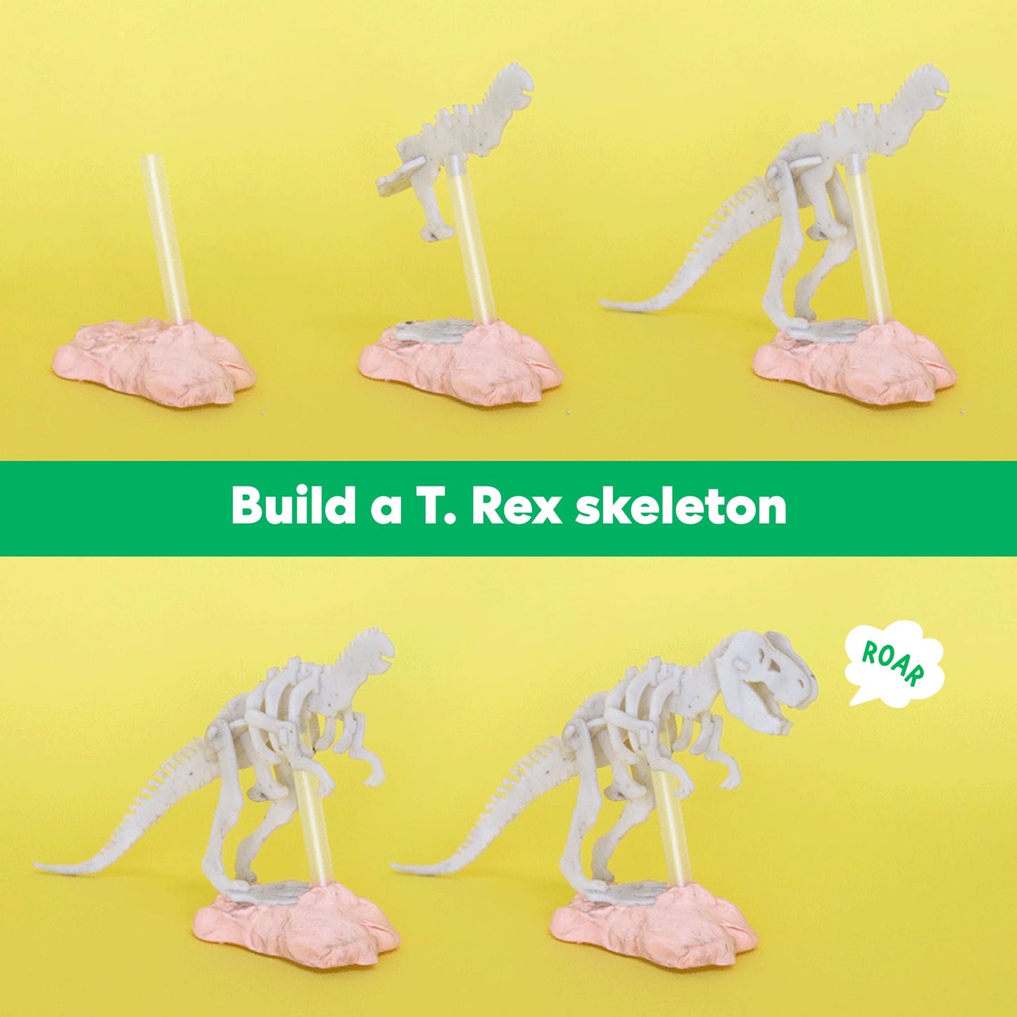 KiwiCo Dinosaur Fossil Dig Kit for Kids 6+ | Excavate & Build Dinosaur Skeleton | STEM Paleontology Kit & Poster