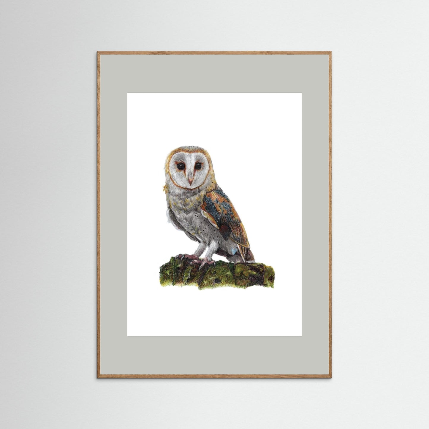 Barn Owl Wildlife Framed Art Print | British Bird Wall Art