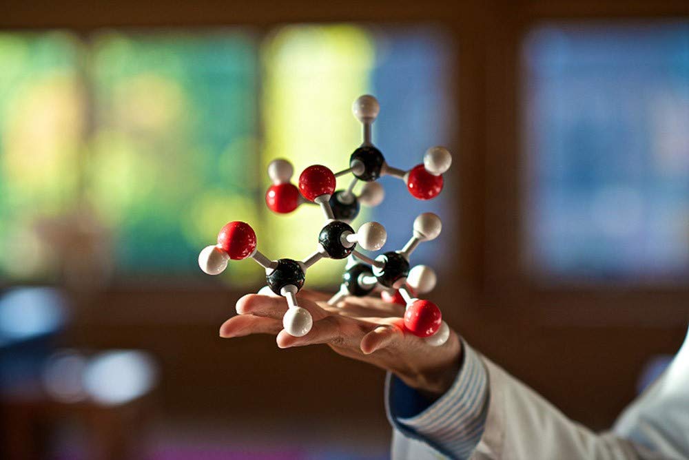 LINKTOR Chemistry Molecular Model Kit (444 Pieces) — 3D Bonding and Fullerene Learning Set for Classrooms