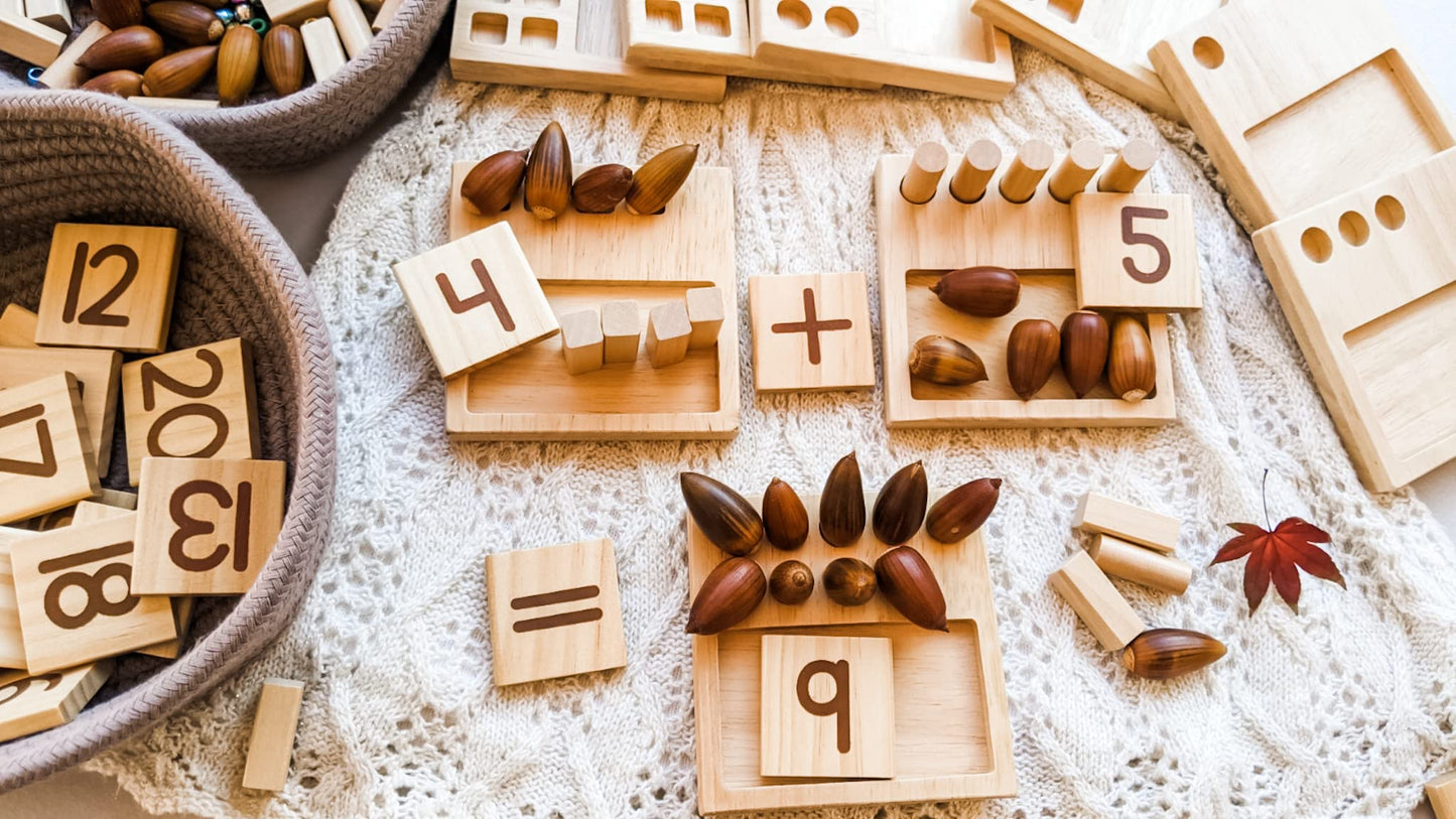 LITTLE BUD KIDS Counting Pegs: Ten Frame Math Game for Addition & Subtraction