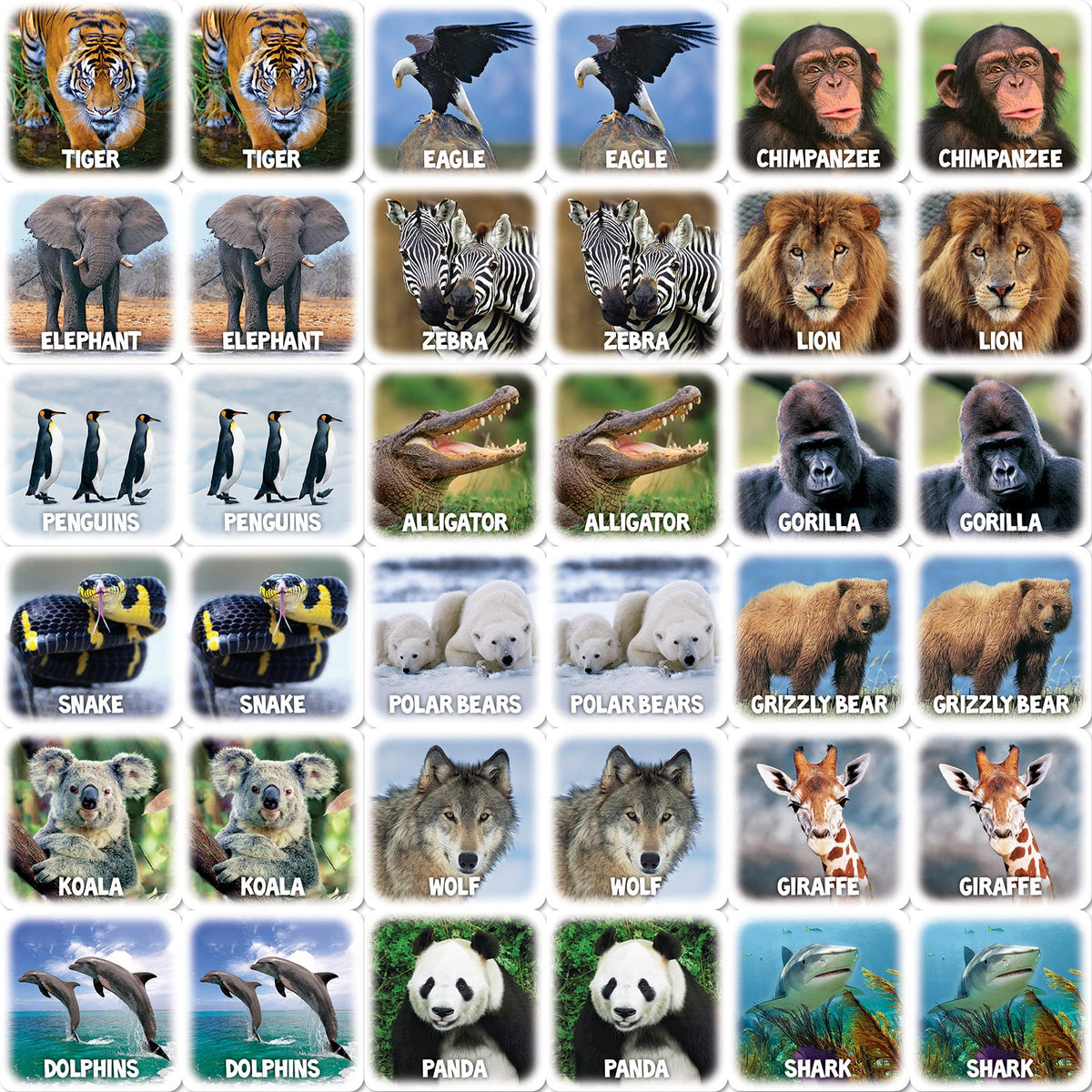 MasterPieces World of Animals Matching Game – Kids & Family Play | Laugh and Learn
