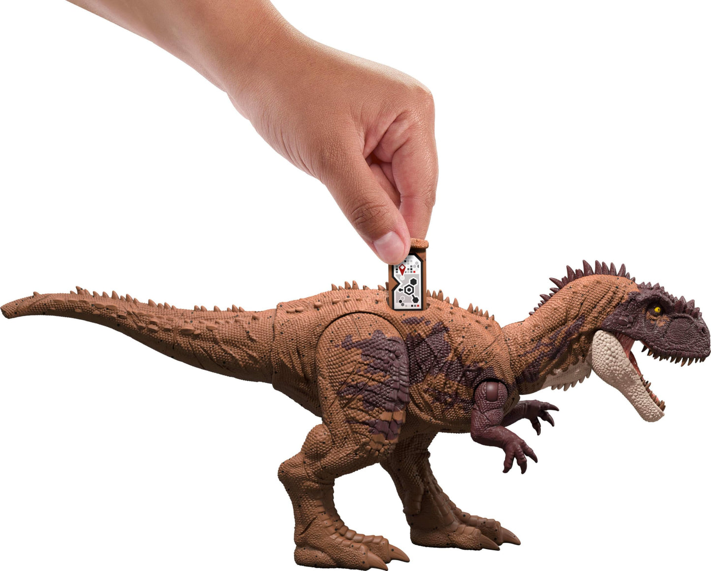 Mattel Jurassic World Wild Roar Dinosaurs – Roar, Attack Action & AR Play (11-Inch Figures)