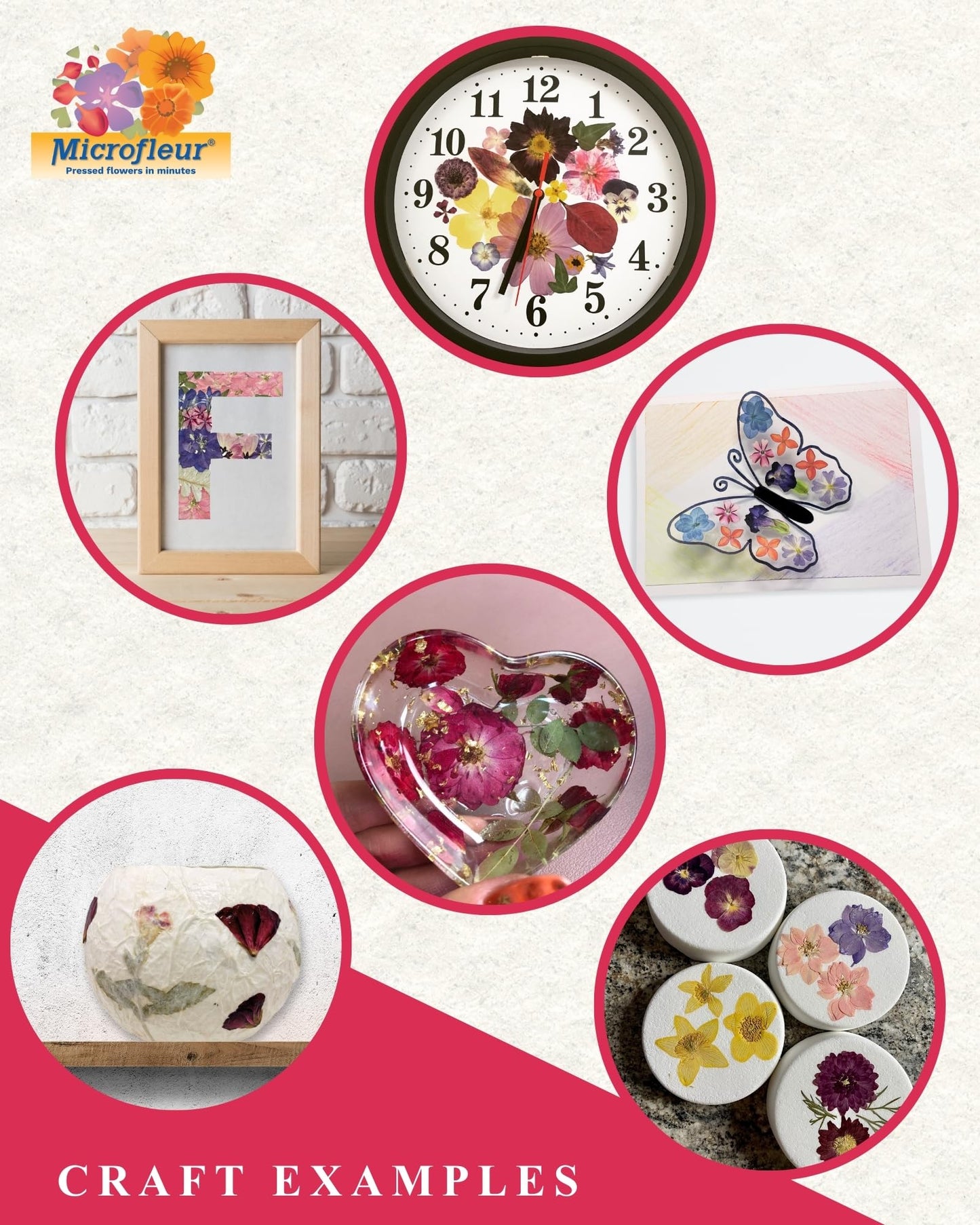 Microfleur Microwave Flower Art Press Kit – Quick Color-Preserving DIY for Kids & Adults