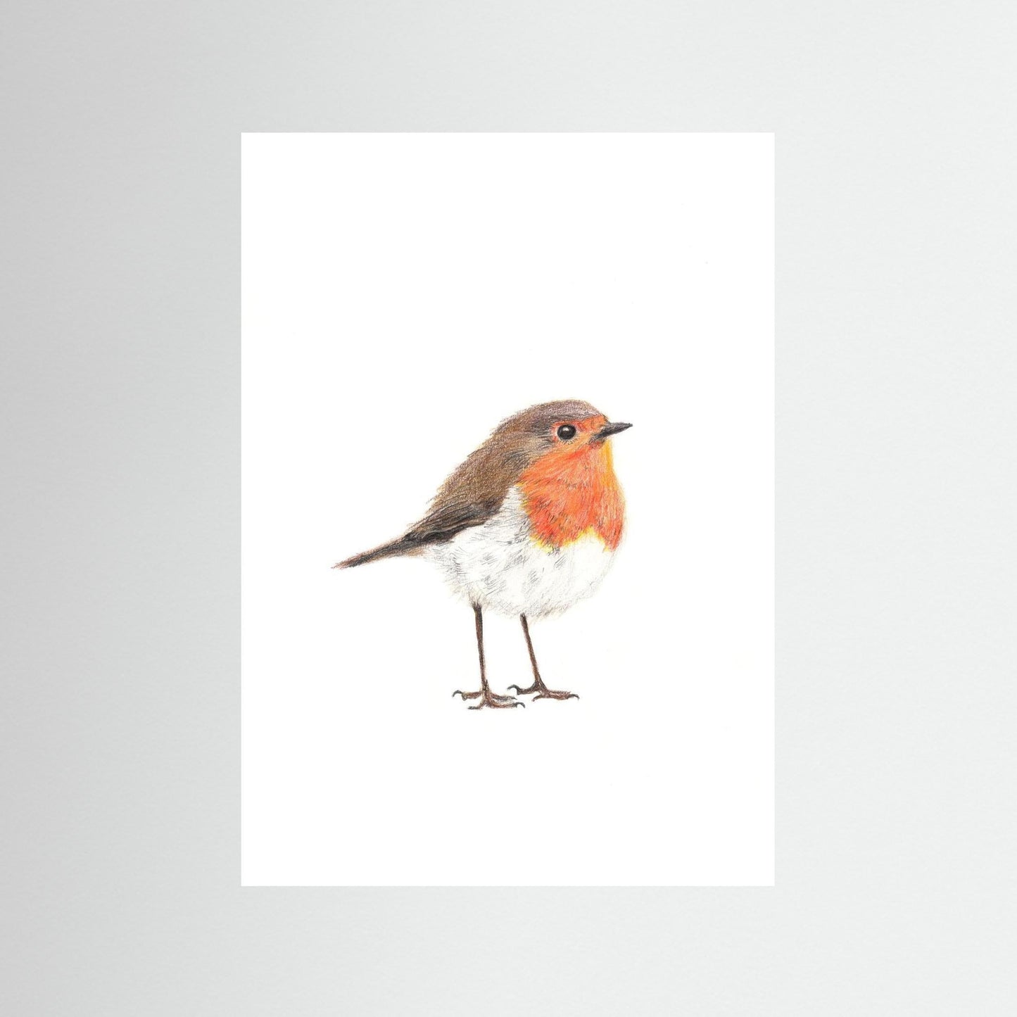 Robin Woodland Art Print