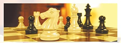 Multipurpose Go Magnetic Travel Chess Set - Foldable 9.84-Inch Board for Kids and Adults
