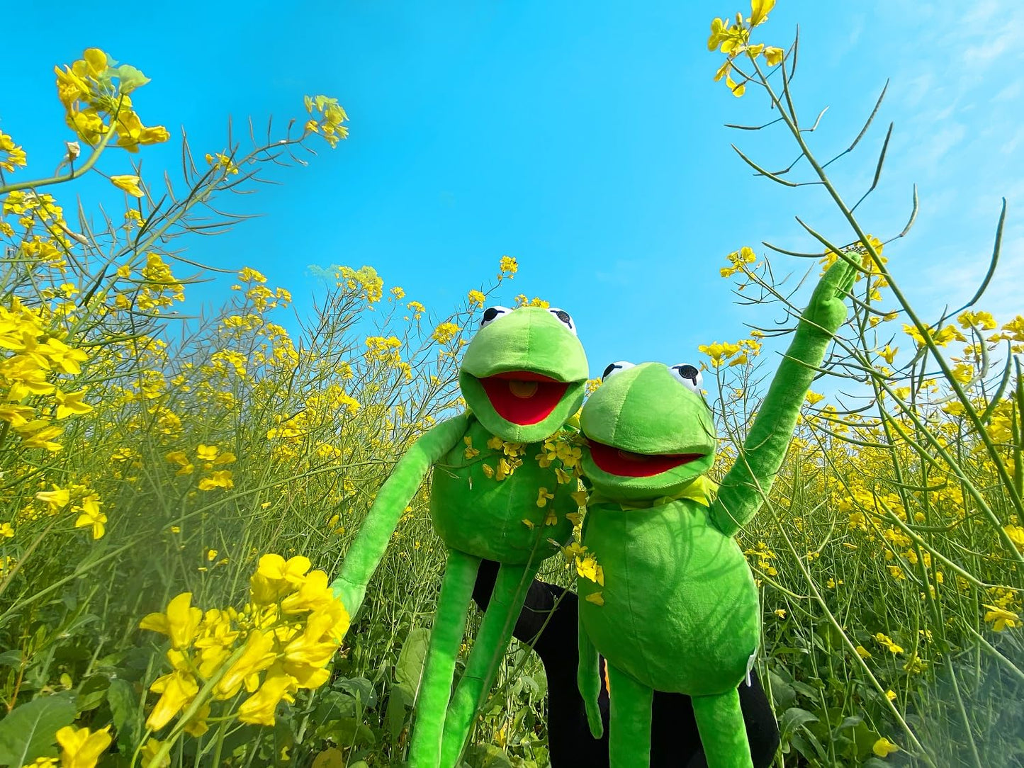NICERINC Kermit Frog Puppet - The Muppets Show Hand Plush, 60cm