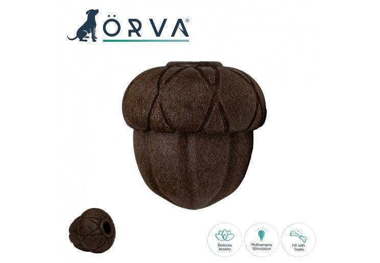 Orva Acorn