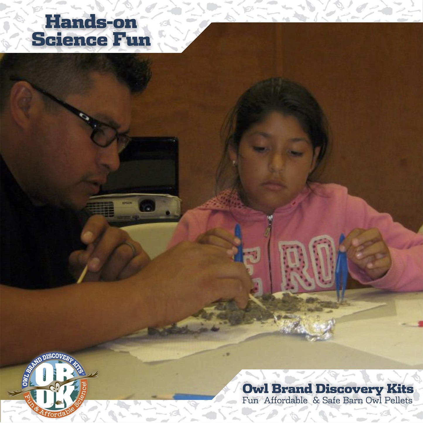 Owl Brand Discovery Kits – Barn Owl Pellets for Dissection (Small, 1.0-1.5 inch) with Tools & Bone Chart
