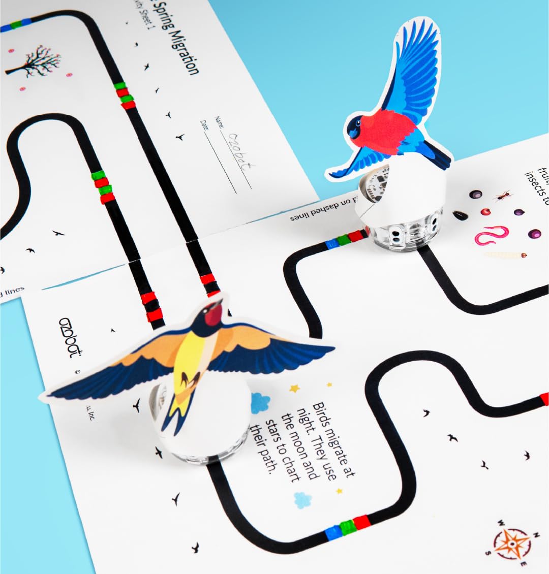 Ozobot Evo Entry Kit: Interactive STEM Coding Robot for Kids 5+ with Screen-Free Color Codes