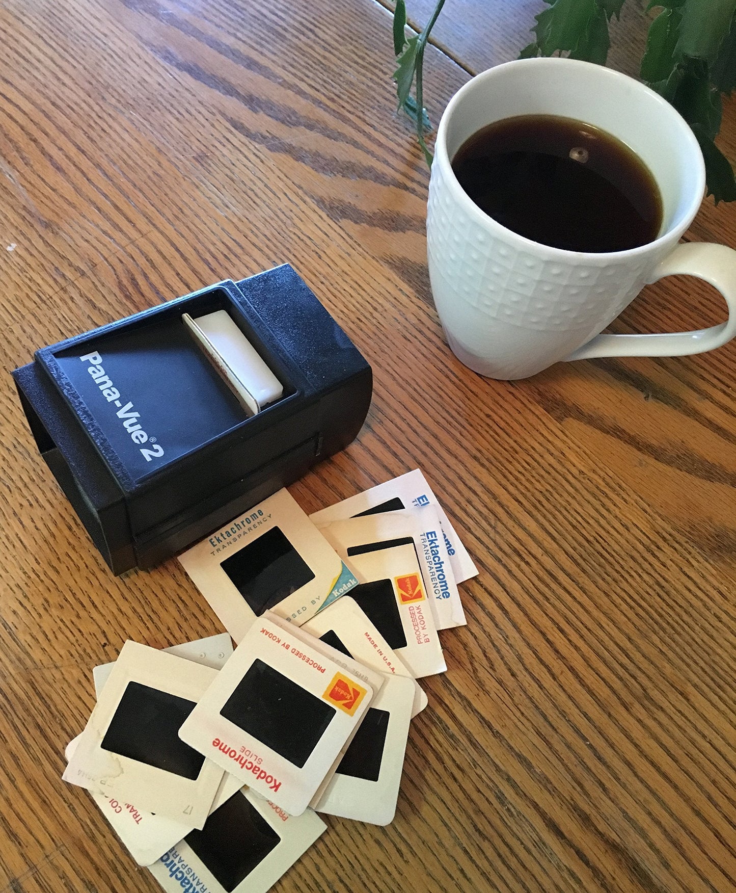 Pana-Vue 2 Illuminated Slide Viewer — 2x Magnification & Backlit Viewing