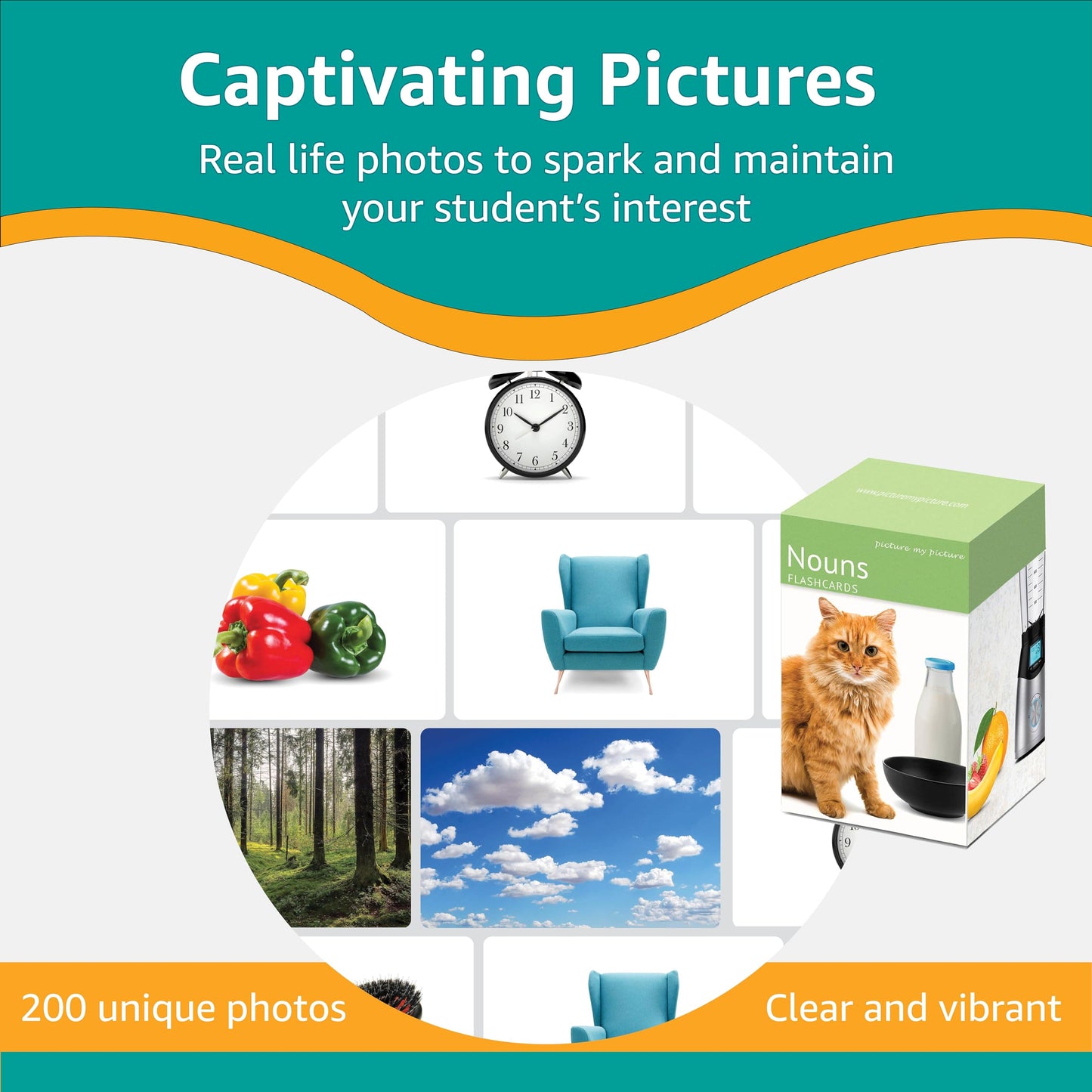 Picture My Picture Nouns Flash Card Set – 200 Real-Photo Cards for Vocabulary, Speech Therapy & ABA