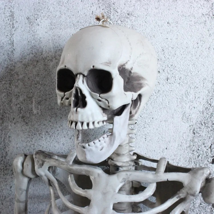 Halloween Horror Funny Skull skull skeleton Plastic Party Carnival Festival Ornaments Skeleton Ornaments