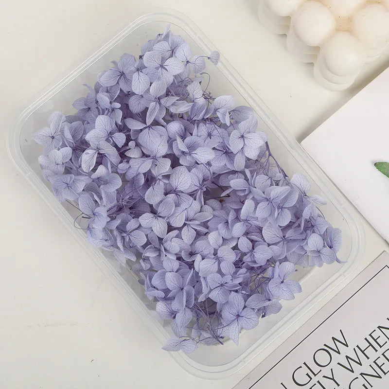 Hydrangea eternal flower dried flower diy handmade wedding shoes stickers face floral class activity photo frame violent bear petals material package