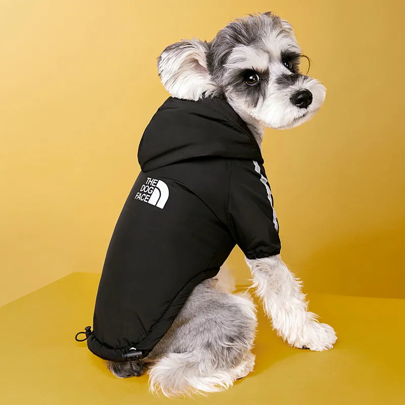 casual polyester letter pet clothing