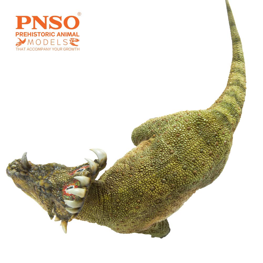 PNSO 40 A-Qi Sinoceratops — Realistic Prehistoric Dinosaur Model for Education